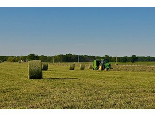 Property photo 86 - LAND AUCTION - 604+/- ACRES OFFERED IN 24 TRACTS IN MORGAN COUNTY, INDIANA